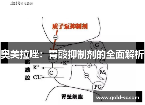 奥美拉唑：胃酸抑制剂的全面解析