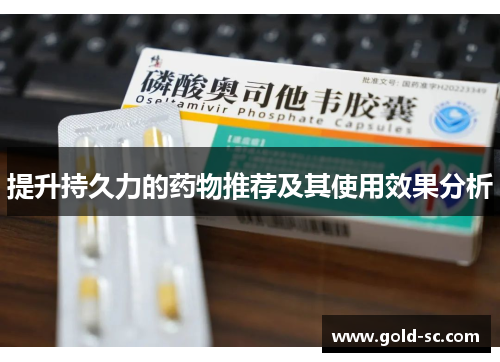 提升持久力的药物推荐及其使用效果分析