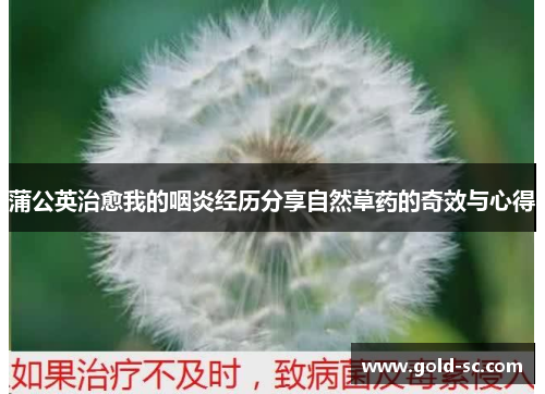 蒲公英治愈我的咽炎经历分享自然草药的奇效与心得