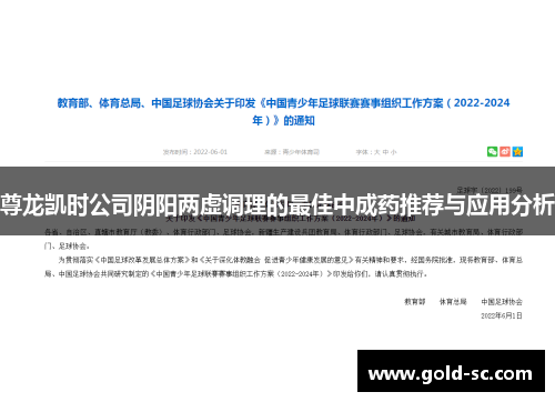 尊龙凯时公司阴阳两虚调理的最佳中成药推荐与应用分析