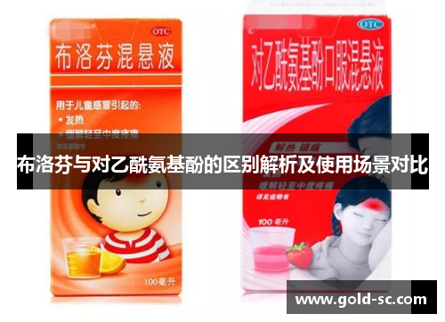 布洛芬与对乙酰氨基酚的区别解析及使用场景对比