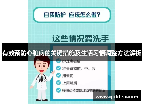 有效预防心脏病的关键措施及生活习惯调整方法解析
