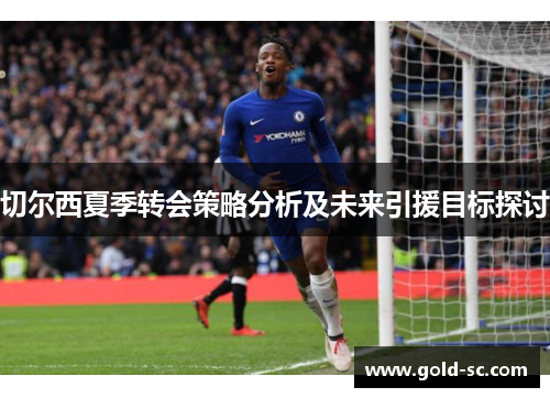 切尔西夏季转会策略分析及未来引援目标探讨